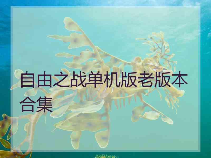 自由之战单机版老版本合集