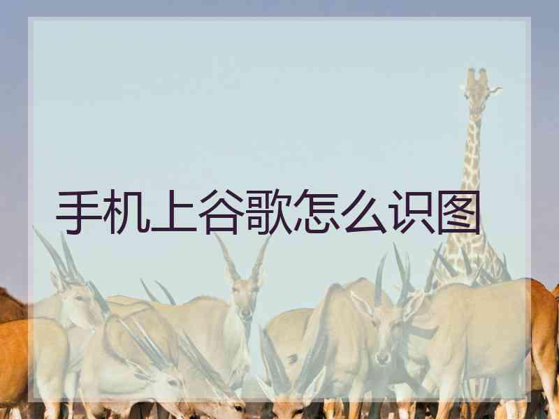 手机上谷歌怎么识图