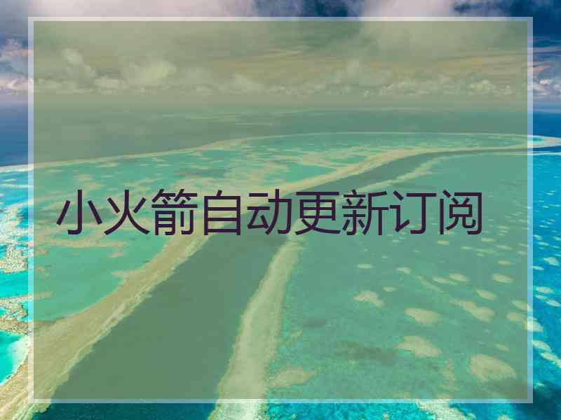 小火箭自动更新订阅