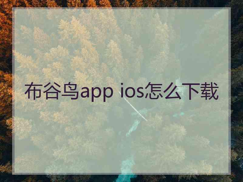 布谷鸟app ios怎么下载
