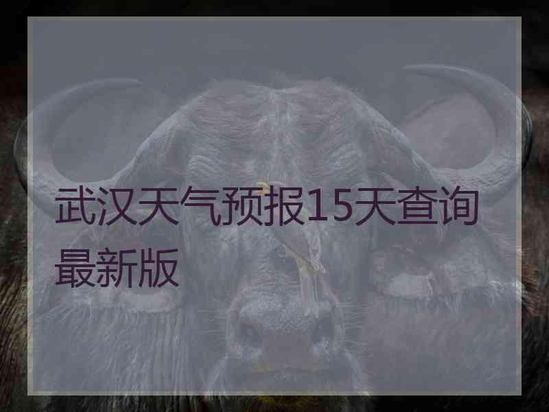 武汉天气预报15天查询最新版
