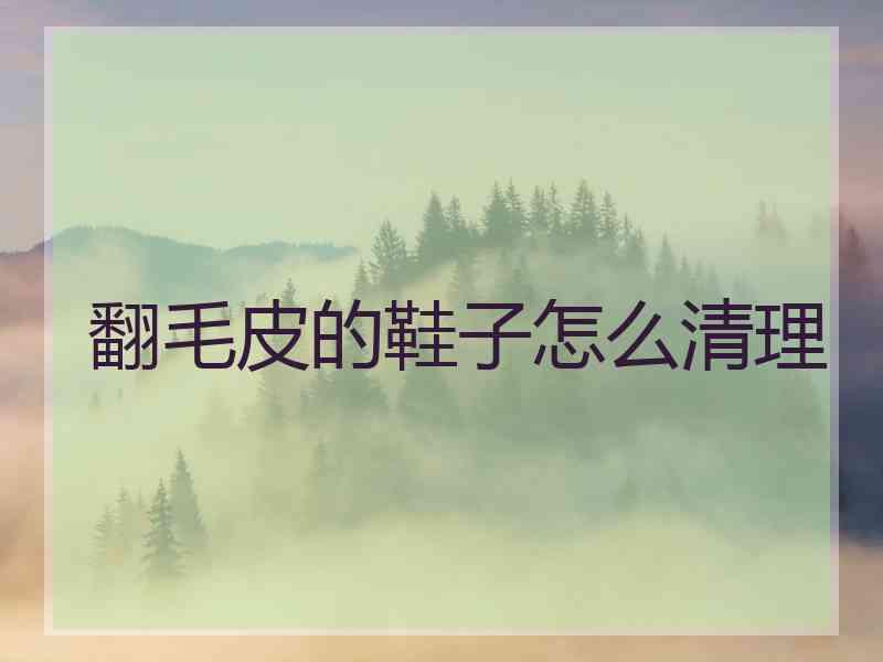 翻毛皮的鞋子怎么清理