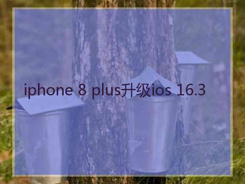 iphone 8 plus升级ios 16.3