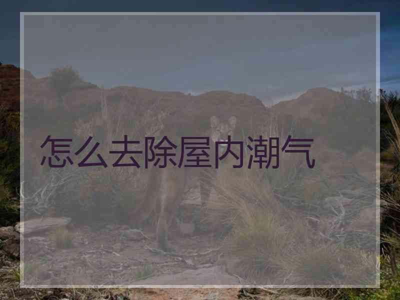 怎么去除屋内潮气