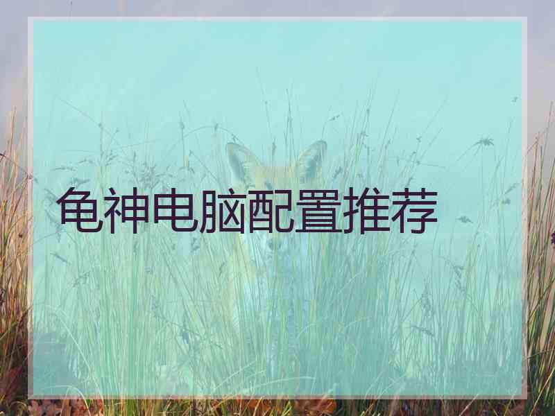 龟神电脑配置推荐