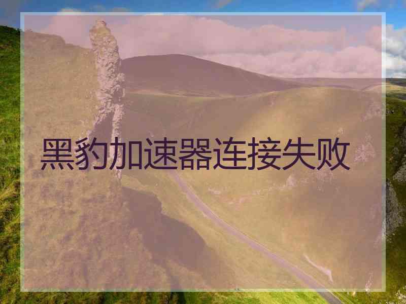 黑豹加速器连接失败