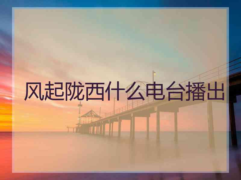 风起陇西什么电台播出