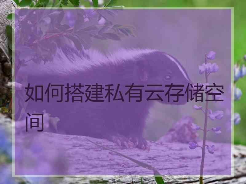 如何搭建私有云存储空间