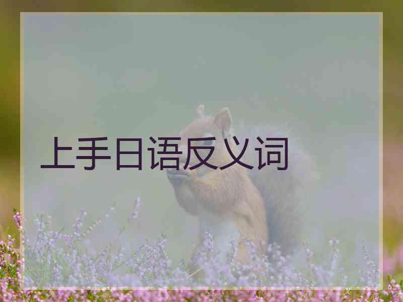 上手日语反义词
