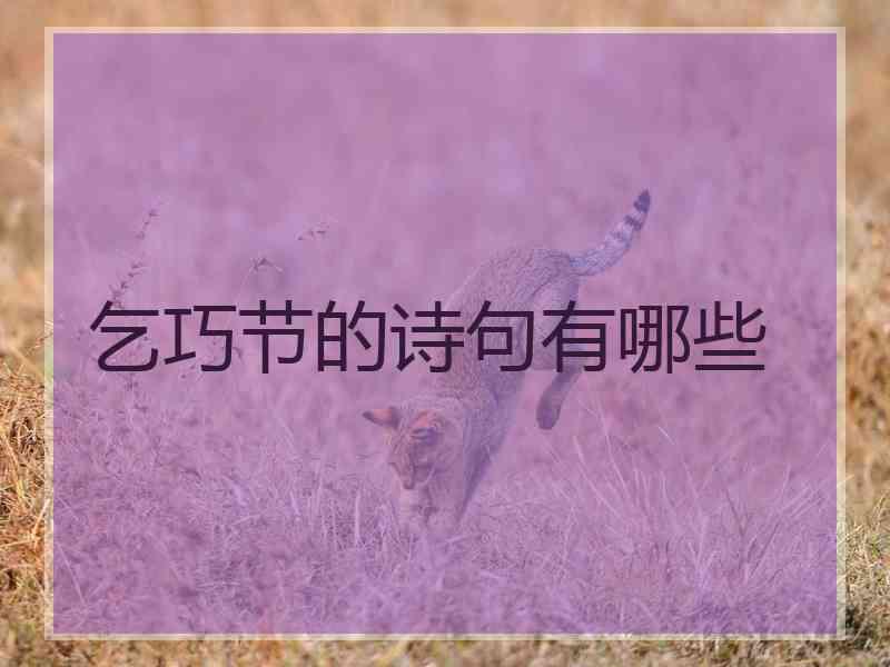 乞巧节的诗句有哪些