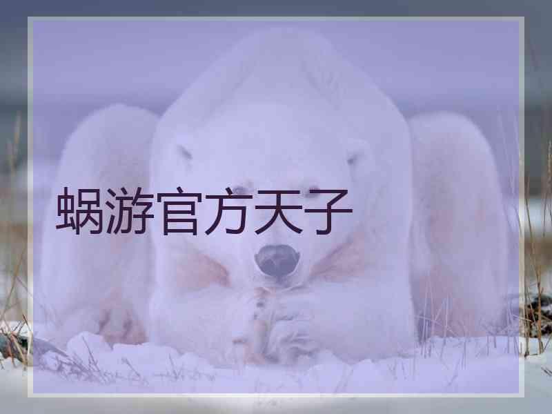 蜗游官方天子