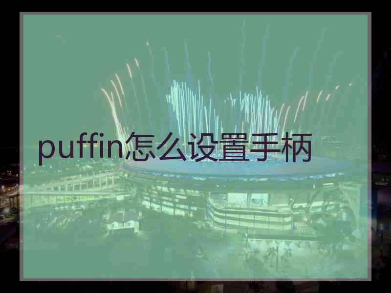 puffin怎么设置手柄