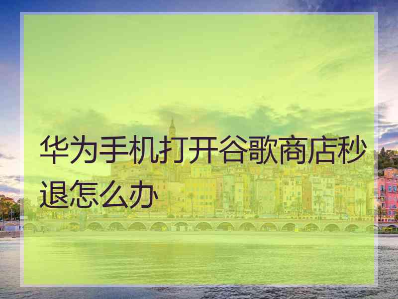 华为手机打开谷歌商店秒退怎么办