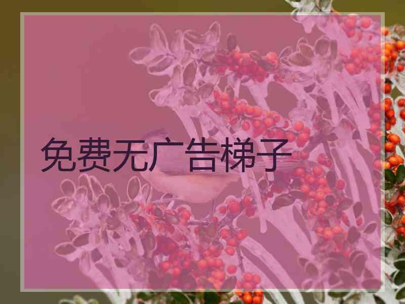 免费无广告梯子