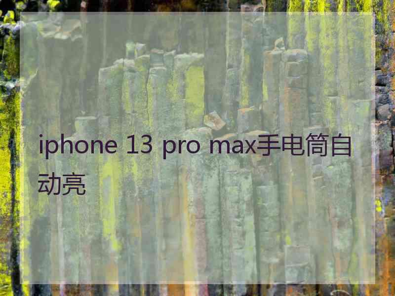iphone 13 pro max手电筒自动亮
