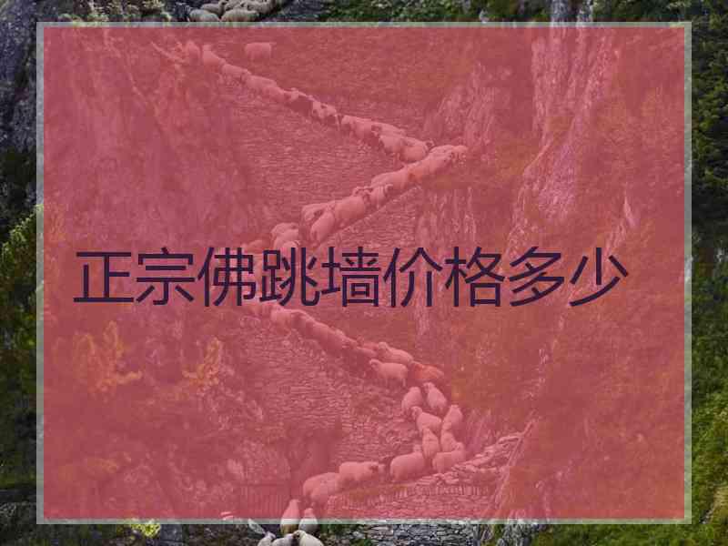 正宗佛跳墙价格多少