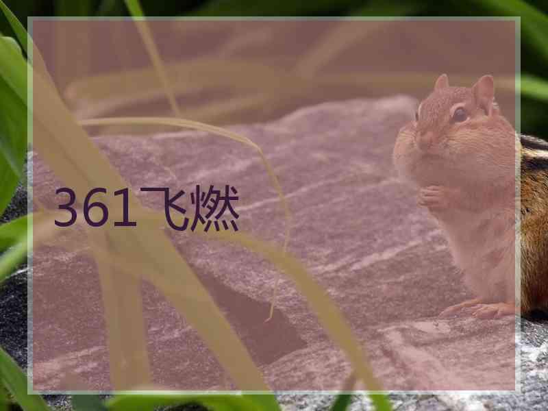 361飞燃