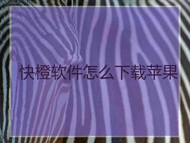 快橙软件怎么下载苹果