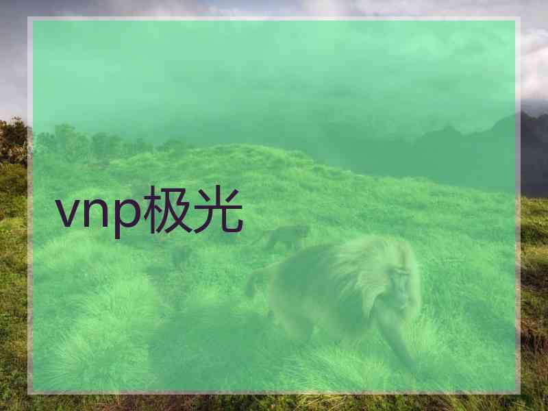 vnp极光
