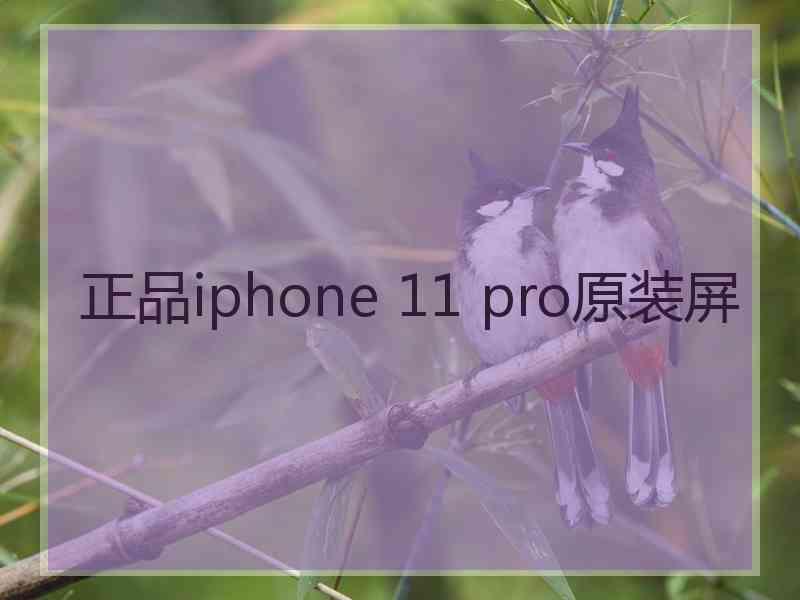 正品iphone 11 pro原装屏