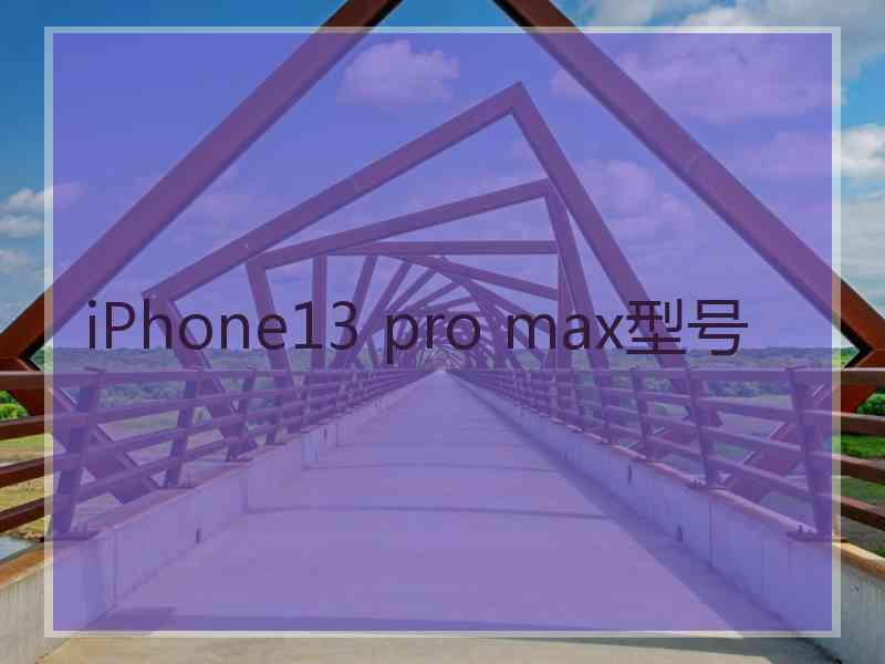 iPhone13 pro max型号