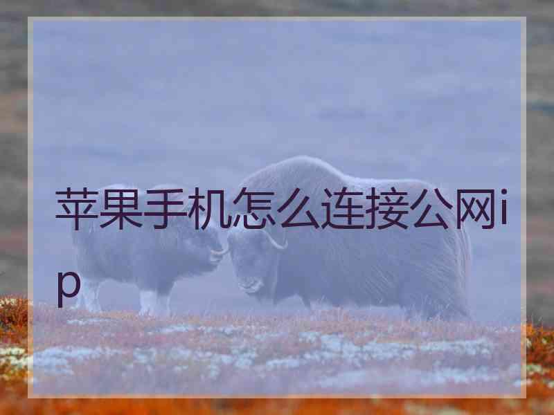 苹果手机怎么连接公网ip