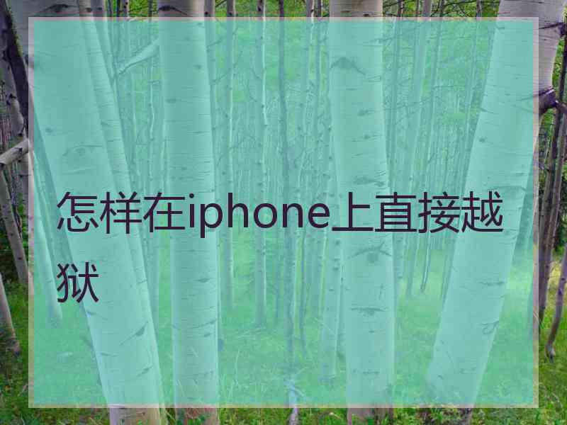 怎样在iphone上直接越狱