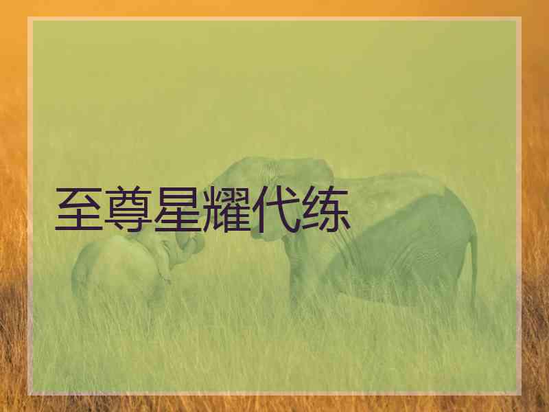 至尊星耀代练