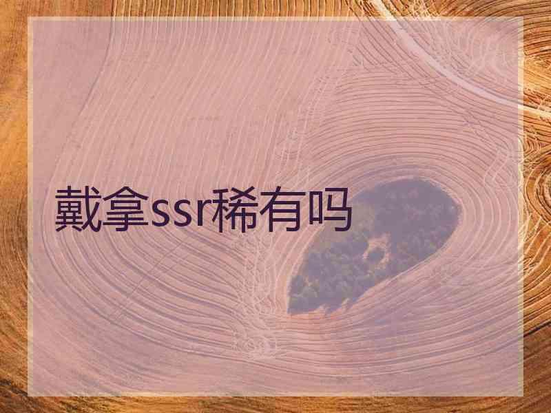 戴拿ssr稀有吗