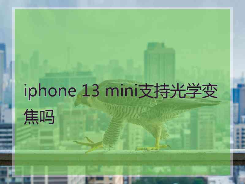 iphone 13 mini支持光学变焦吗