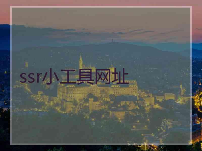 ssr小工具网址