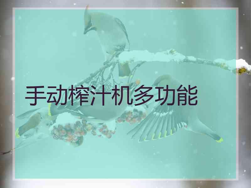 手动榨汁机多功能