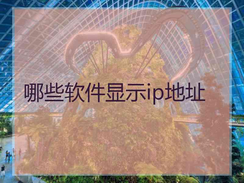 哪些软件显示ip地址