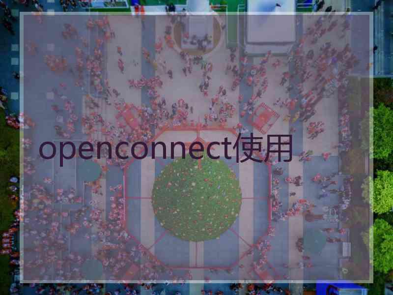 openconnect使用