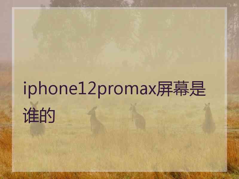 iphone12promax屏幕是谁的