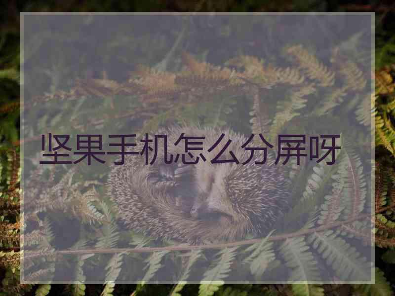 坚果手机怎么分屏呀