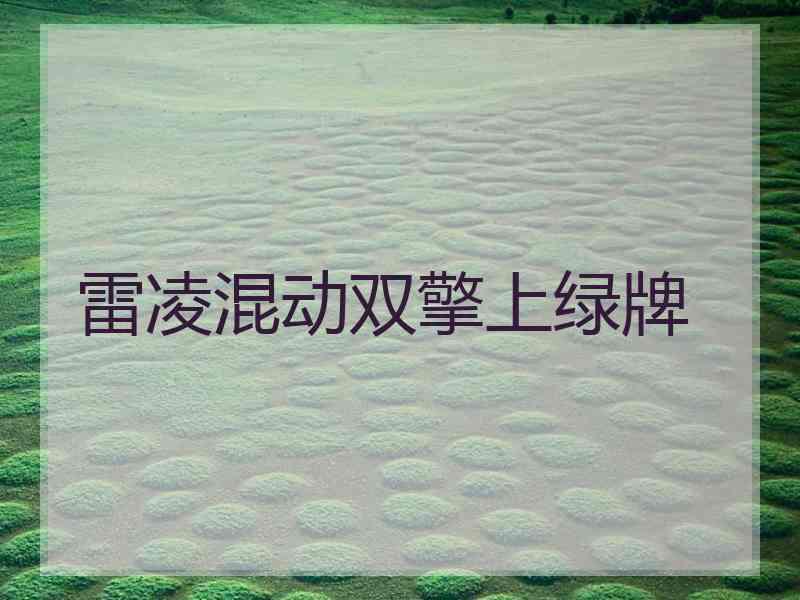 雷凌混动双擎上绿牌
