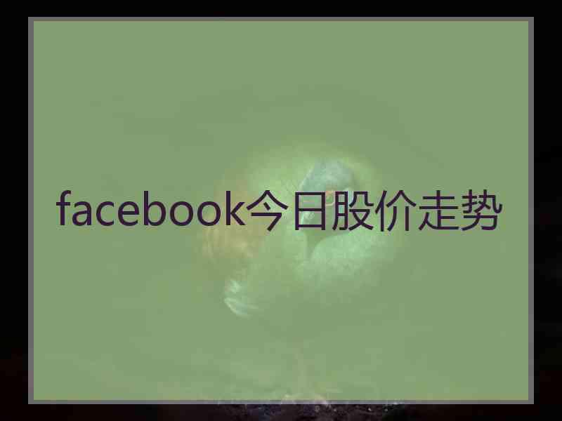 facebook今日股价走势