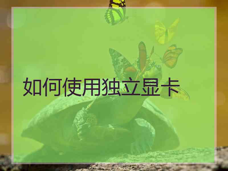 如何使用独立显卡