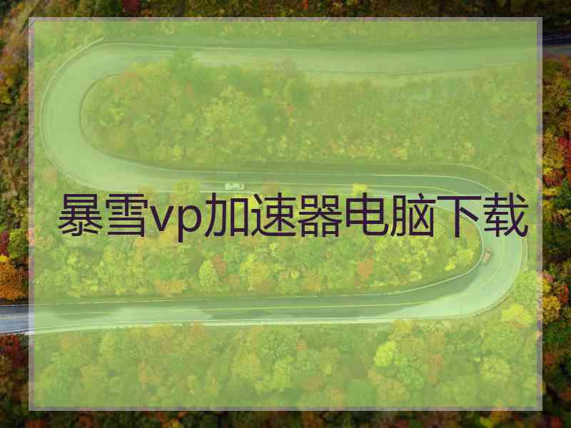 暴雪vp加速器电脑下载