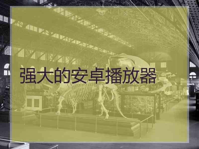 强大的安卓播放器