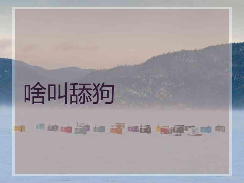 啥叫舔狗