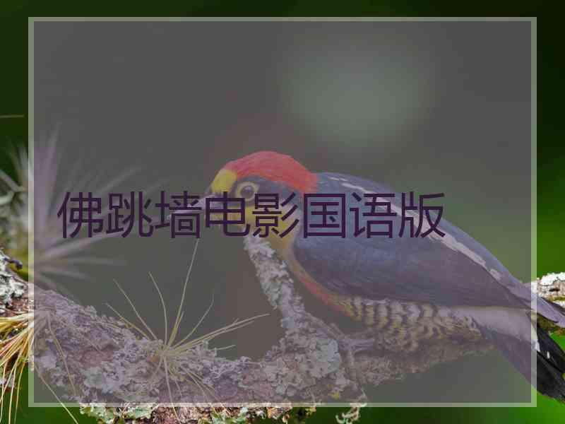 佛跳墙电影国语版