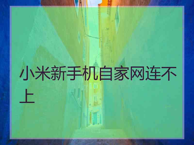 小米新手机自家网连不上