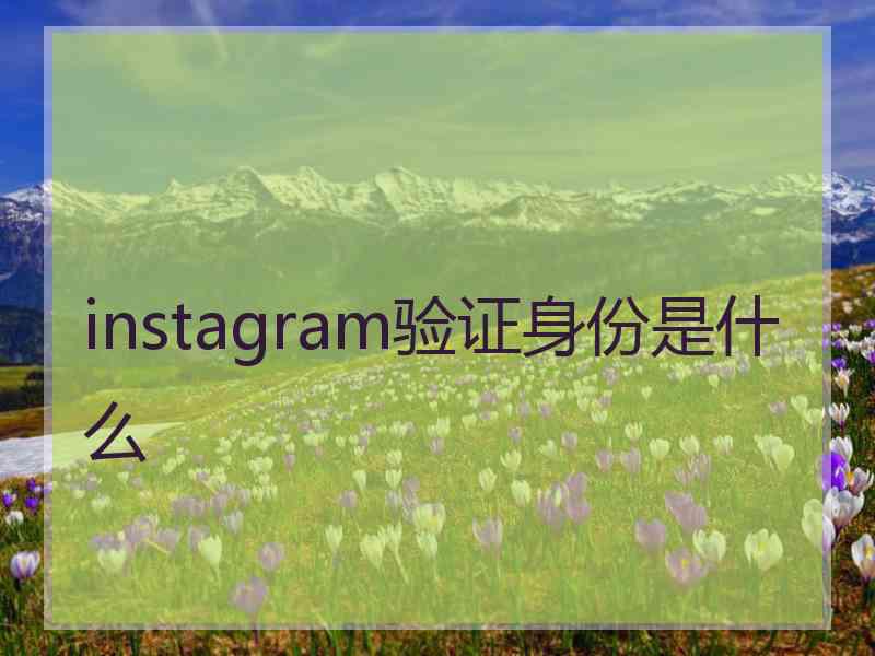 instagram验证身份是什么