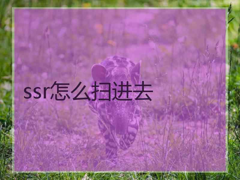 ssr怎么扫进去