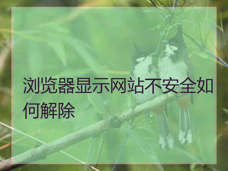 浏览器显示网站不安全如何解除