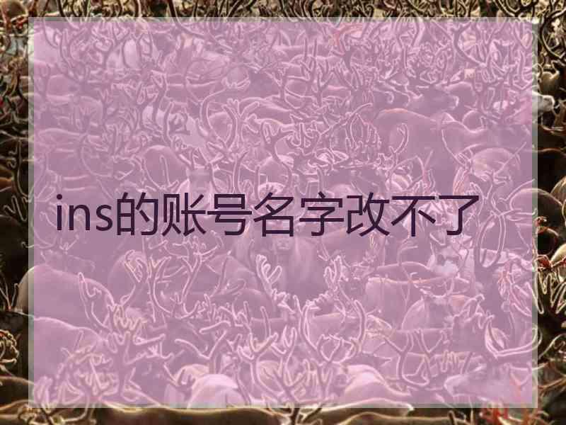 ins的账号名字改不了