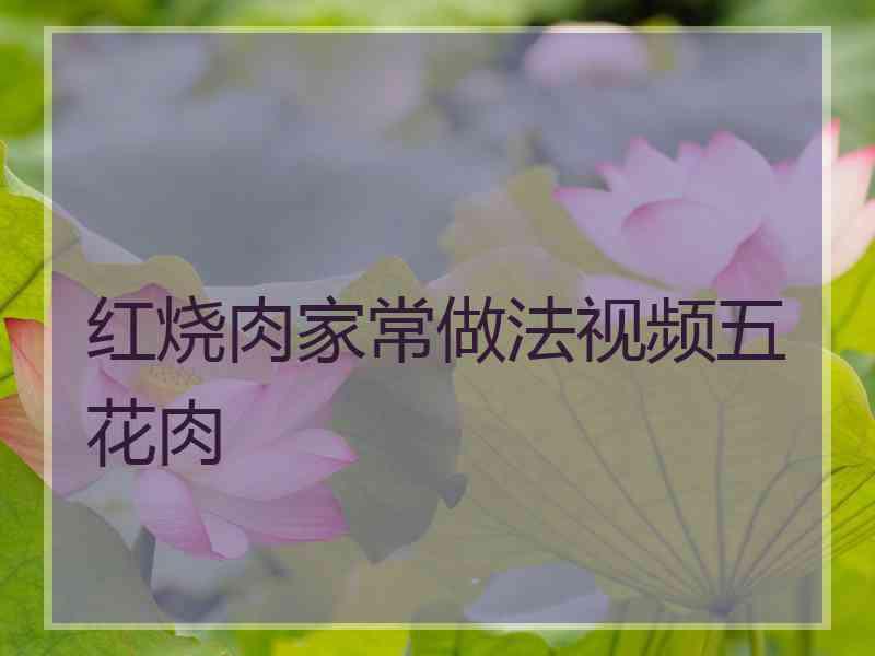 红烧肉家常做法视频五花肉