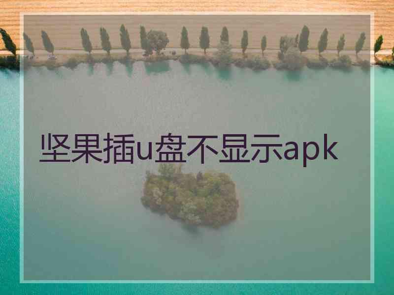 坚果插u盘不显示apk